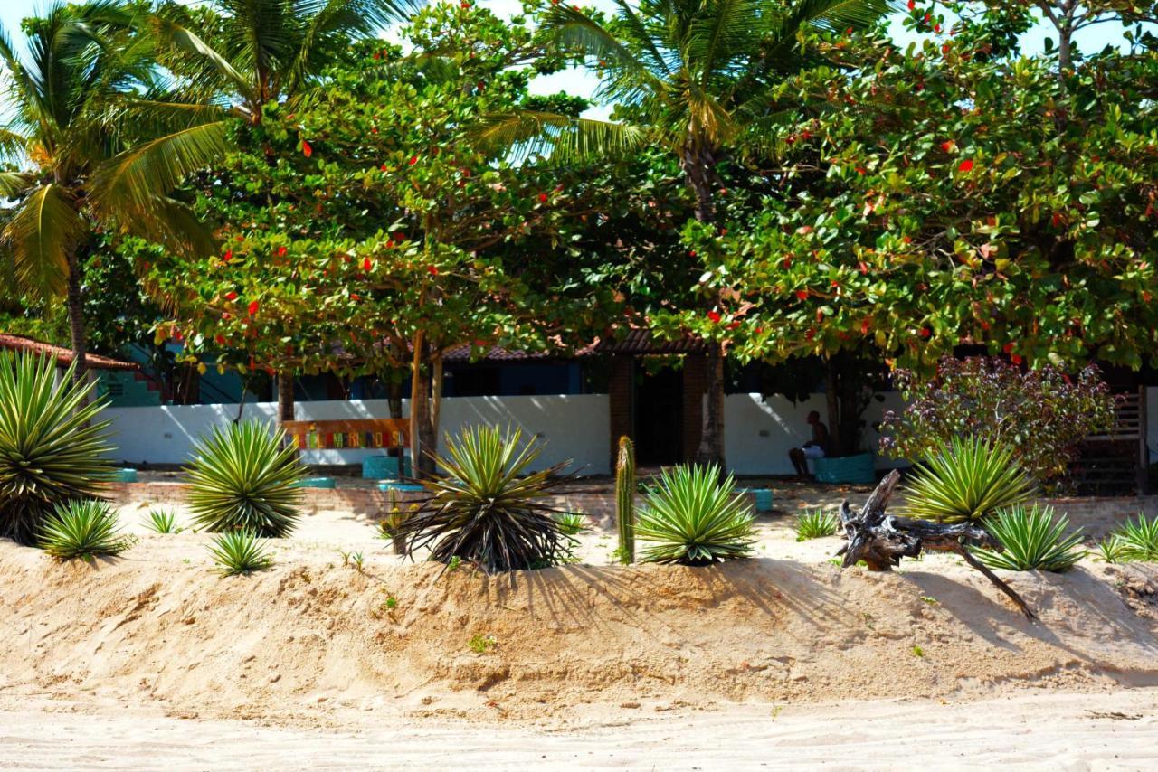 Hostel America Do Sul Jijoca de Jericoacoara Kültér fotó